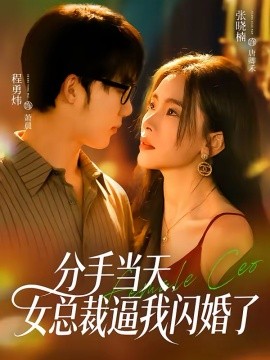 分手当天，女总裁逼我闪婚了全集