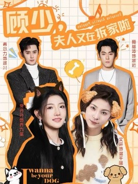 顾少，夫人又在拆家啦全集