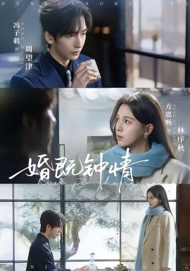 婚既钟情全集
