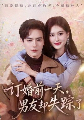 订婚前一天，男友却失踪了全集