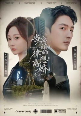 当离婚律师想离婚全集