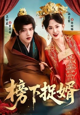 榜下捉婿全集