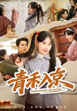 青禾入京全集