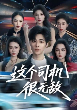 这个司机很无敌全集