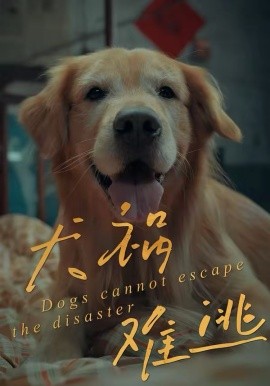 犬祸难逃全集
