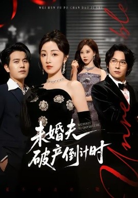 未婚夫破产倒计时全集