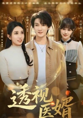透视医婿全集