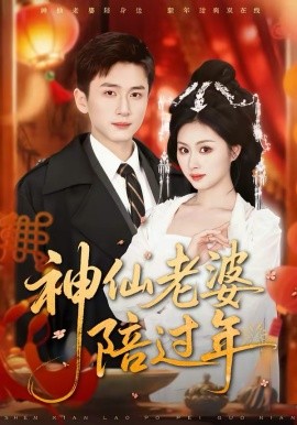神仙老婆陪过年全集