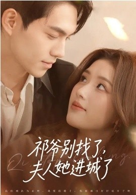 祁爷别找了，夫人她进城了全集