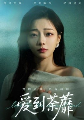 爱到荼蘼全集