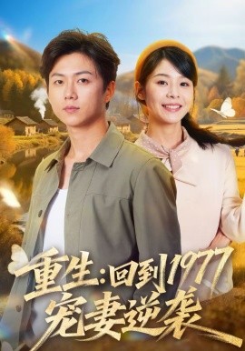 重生：回到1977当奶爸全集