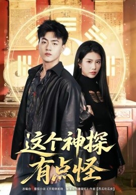 这个神探有点怪全集