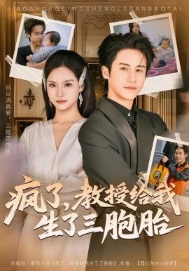疯了，教授给我生了三胞胎全集