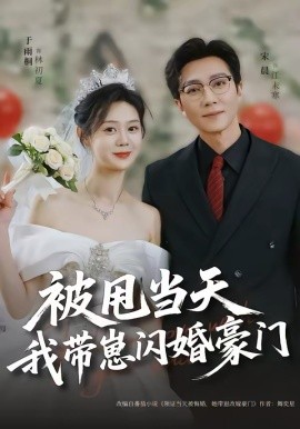 被甩当天我带崽闪婚豪门全集