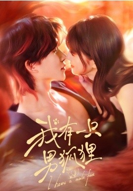 我有一只男狐狸全集