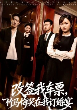 改签我车票，竹马悔哭在我订婚宴全集