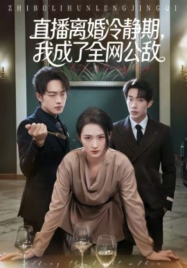 直播离婚冷静期，我成了全网公敌全集