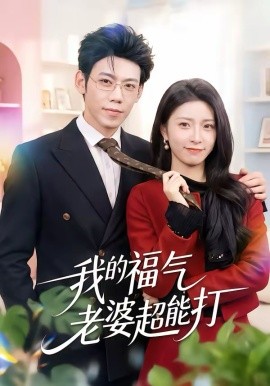 我的福气老婆超能打全集