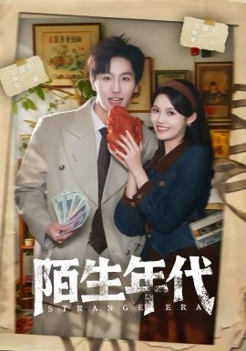 陌生年代全集