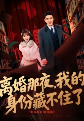 离婚那夜，我的身份藏不住了全集