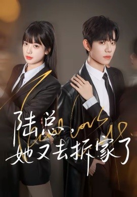 陆总，她又去拆家了全集