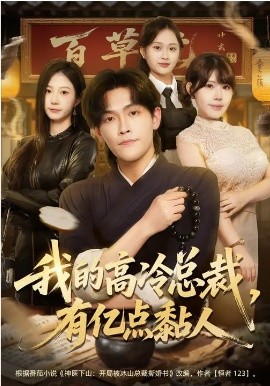 我的高冷总裁，有亿点黏人全集