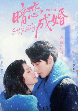 暗恋成婚全集
