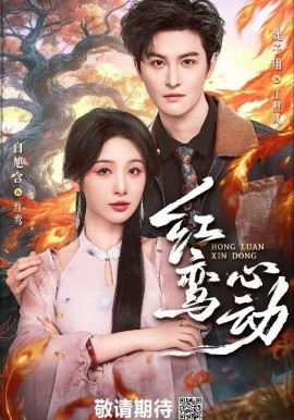 红鸾心动全集