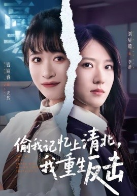 偷我记忆上清北，我重生反击全集