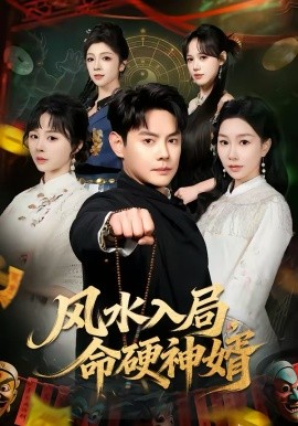 风水入局，命硬神婿全集