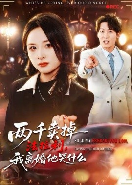 两千卖掉法拉利，我离婚他哭什么全集