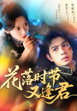 花落时节又逢君全集