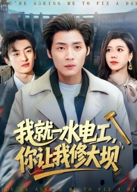 我就一水电工，你让我修大坝全集