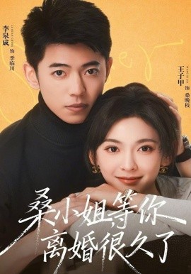 桑小姐，等你离婚很久了全集