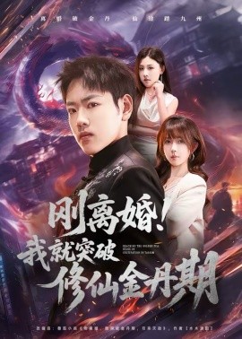 刚离婚！我就突破修仙金丹期全集