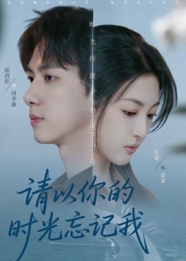 请以你的时光忘记我全集