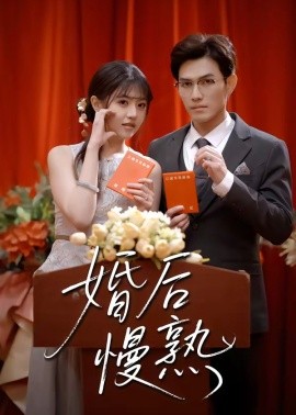 婚后慢熟全集