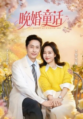 晚婚童话全集
