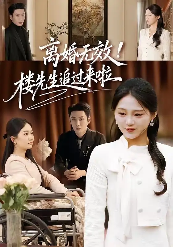 离婚无效！楼先生追过来啦全集