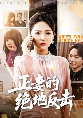 正妻的绝地反击全集