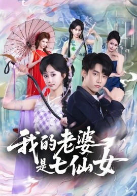 我的老婆是七仙女全集